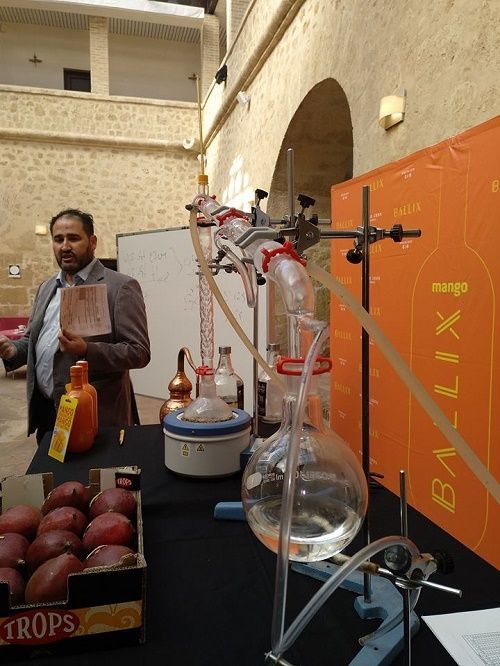 master class ginebra, castillo del marques, gin ballix, frutas trops, escuela de hosteria, ies maria zambrano,