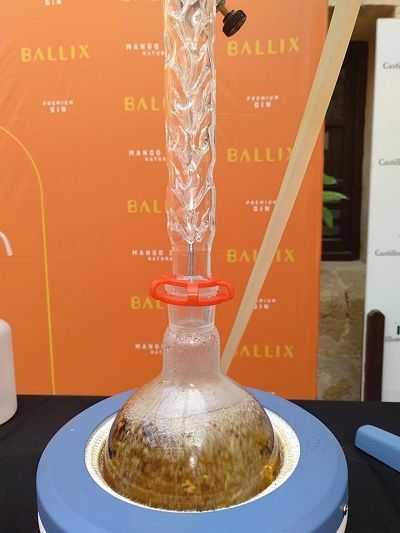 master class ginebra, castillo del marques, gin ballix, frutas trops, escuela de hosteria, ies maria zambrano,